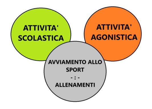 Sinergia tra le attività didattiche Immagine che rappresenta la sinergia tra le attività didattiche: attività scolastica, avviamento allo sport e allenamenti, attività agonistica.